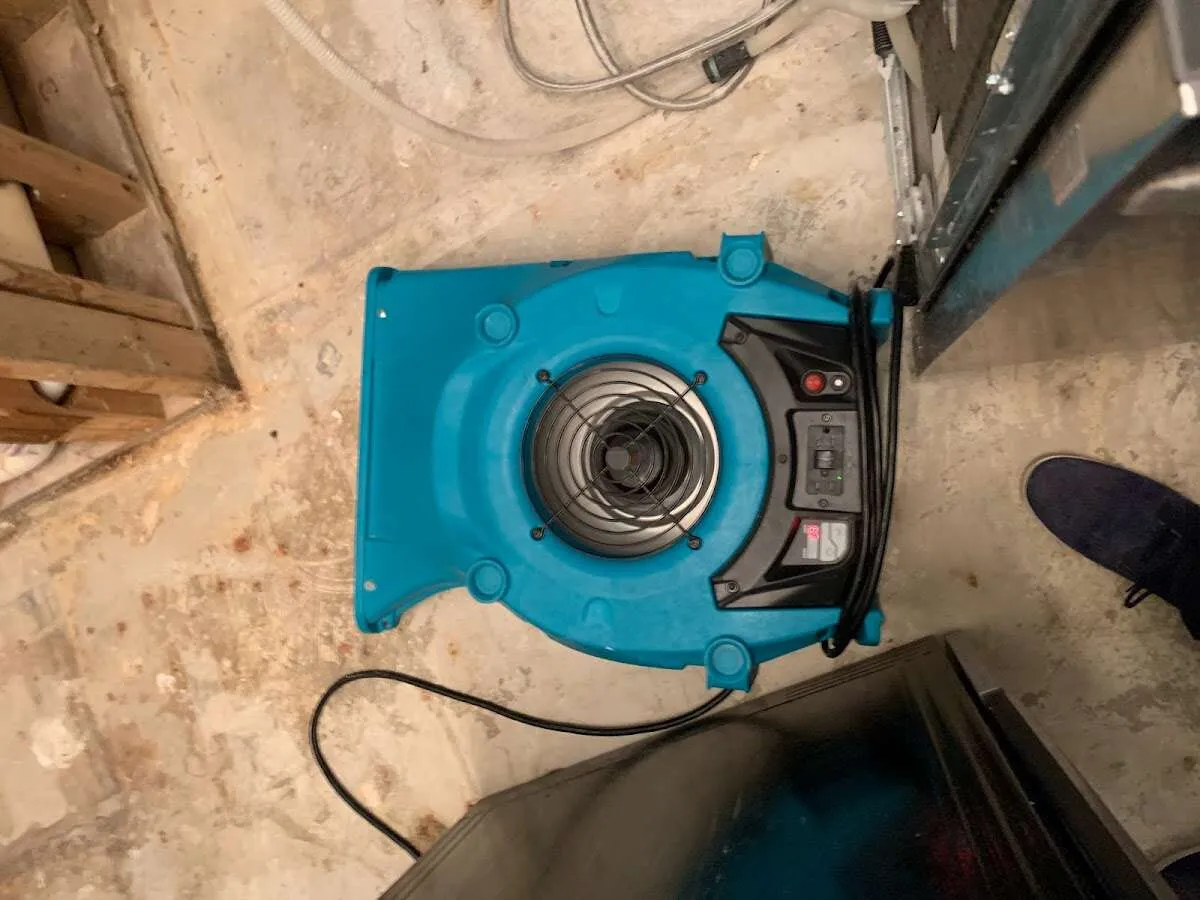 Air mover drying equipment for Mold Remediation & Removal in Blue Ash